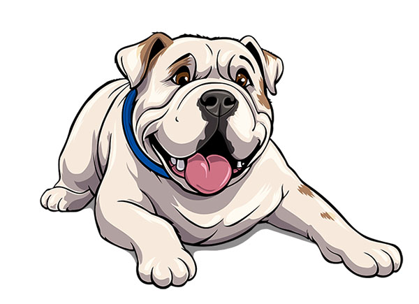 Cooper