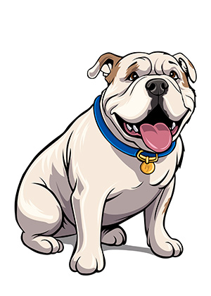 Cooper